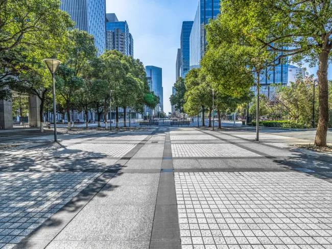 sidewalk and trees